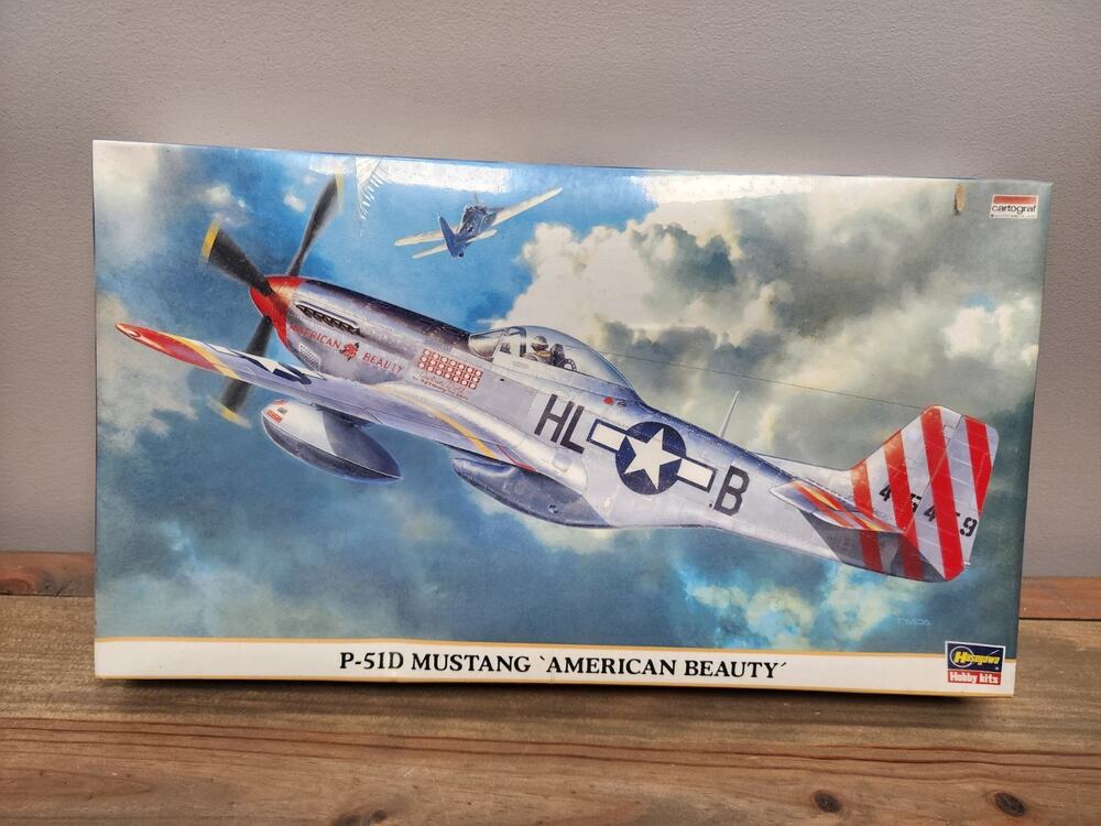 Hasegawa 1/48 Scale P-51D Mustang American Beauty 09393